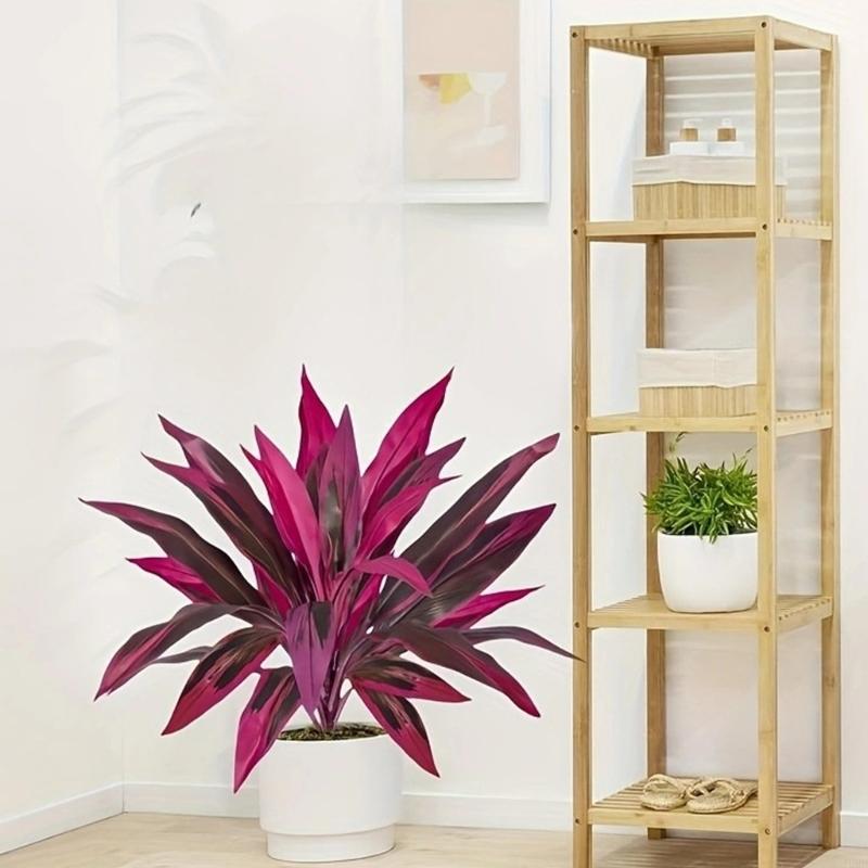 Dracaena Marginata - Pianta artificiale Dracaena Marginata 60 per