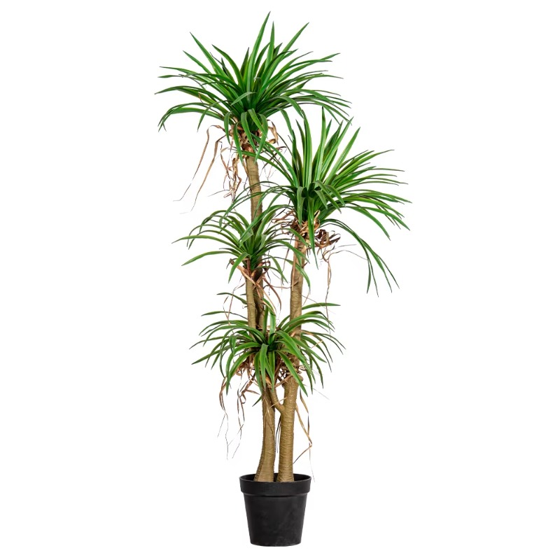 Dracaena Marginata - Albero domestico per interni/esterni simulato Dracaena