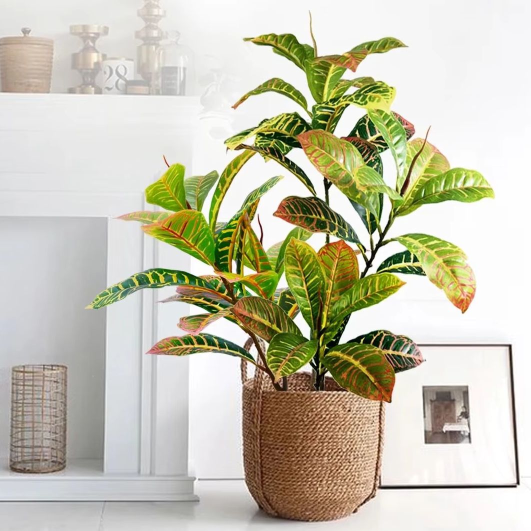 Dracaena Marginata - 21-120 cm Pianta artificiale Falso albero