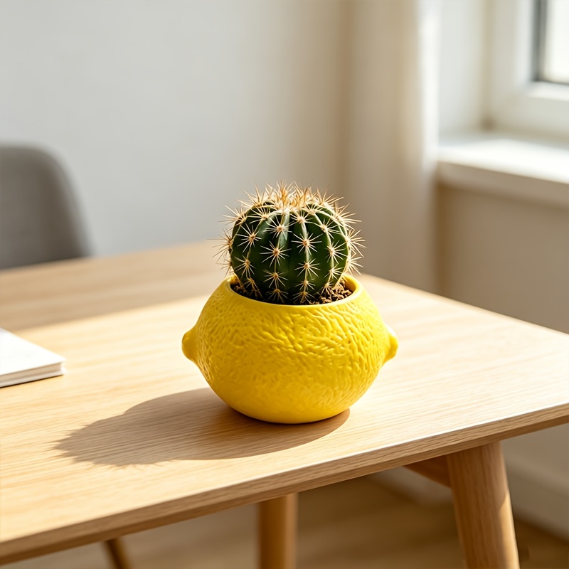 Echeveria Succulent - Vaso decorativo a forma di limone