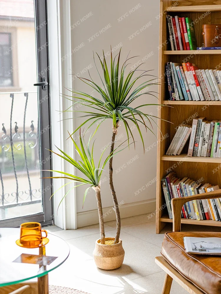 Dracaena Marginata - Simulazione di lusso leggera Pianta verde