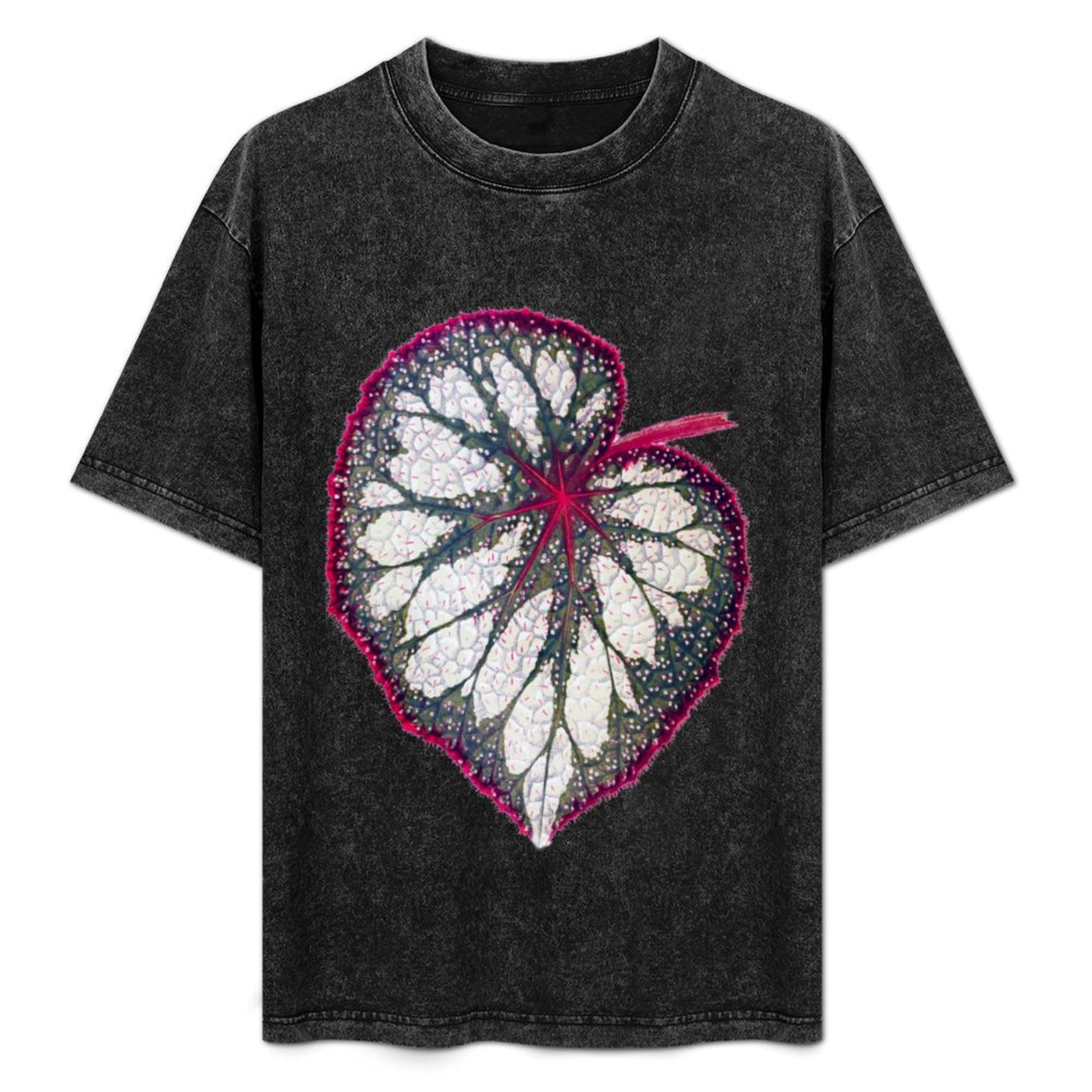 Begonia Rex - T-shirt Begonia rex, maglietta semplice per