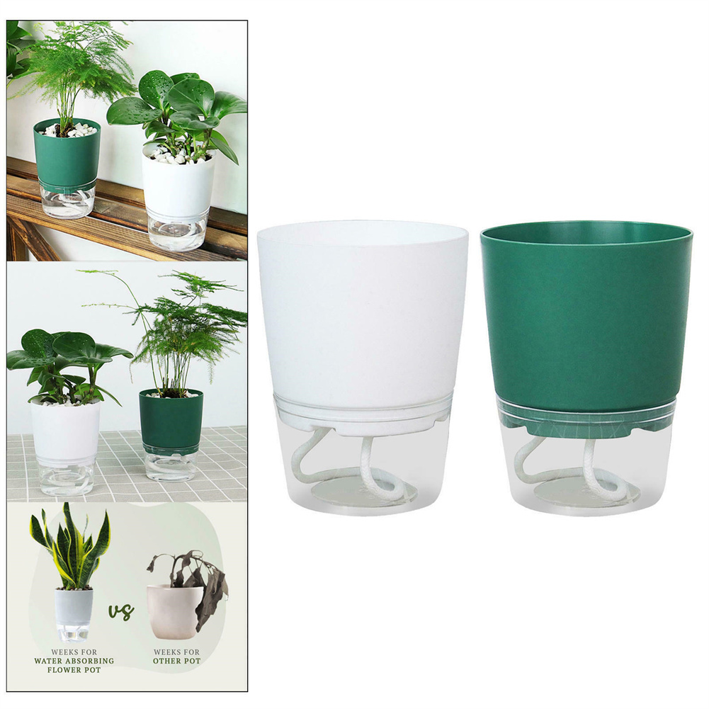 Aloe Vera Pot - Vaso da fiori idroponico pigro Vaso