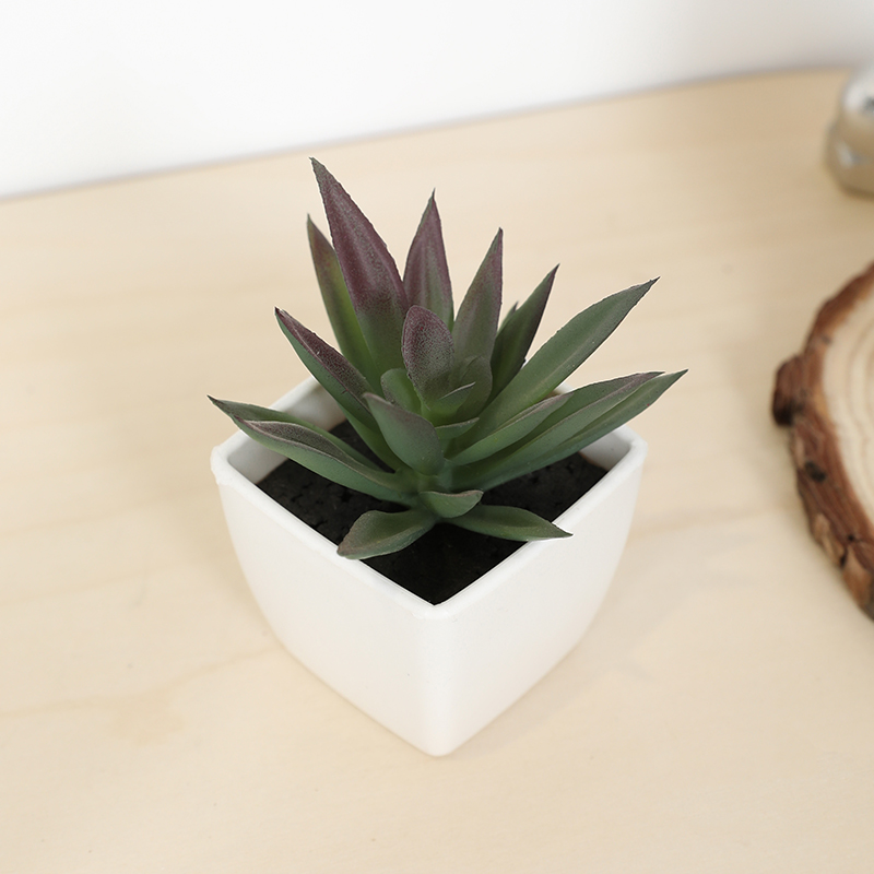 Echeveria Succulent - Mini tazza di fata artificiale succulenta,