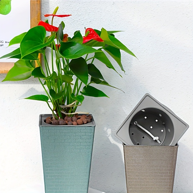 Aloe Vera Pot - Vaso da fiori in plastica con