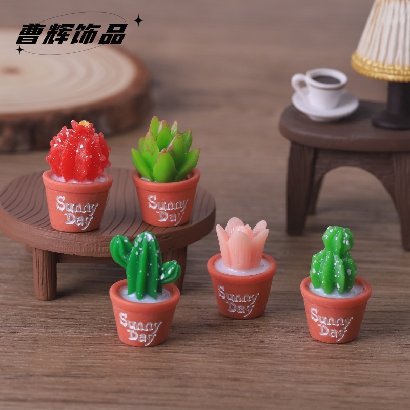 Echeveria Succulent - 5 pezzi di simulazione succulenta pianta