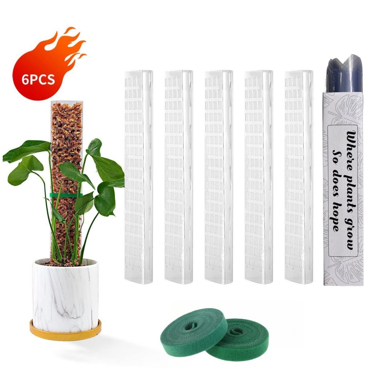 Pali di muschio Piante Support - Echeveria Succulent recensione e prezzo