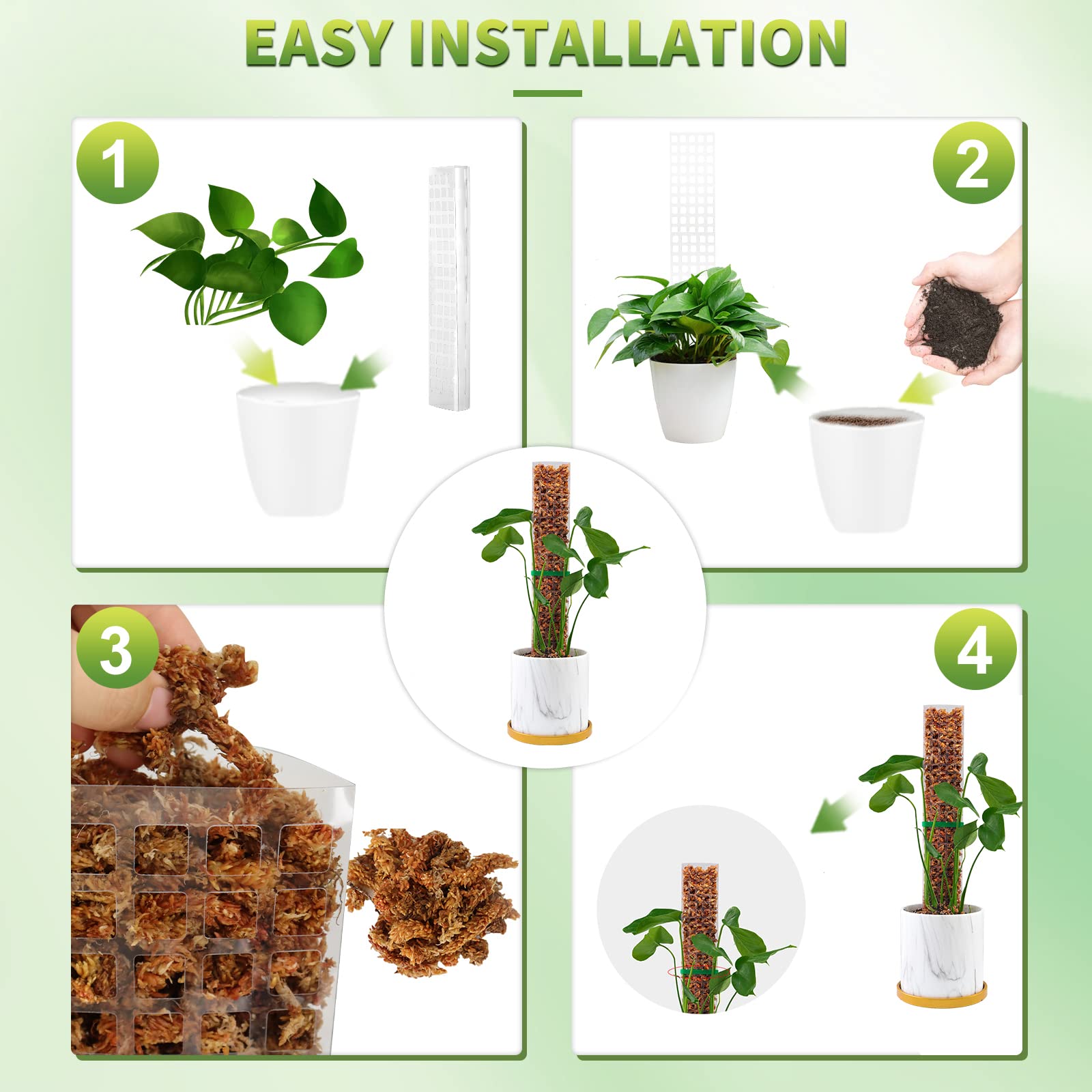 Pali di muschio Piante Support - Echeveria Succulent recensione e prezzo