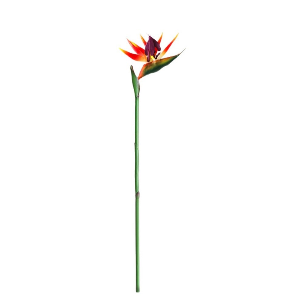 Nuove Piante Artificiali Strel - Bird Paradise Strelitzia recensione e prezzo