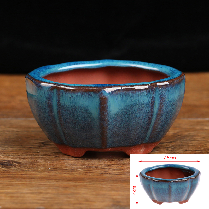1 pz Bonsai Mini Vaso di Fiori - Echeveria Succulent recensione e prezzo