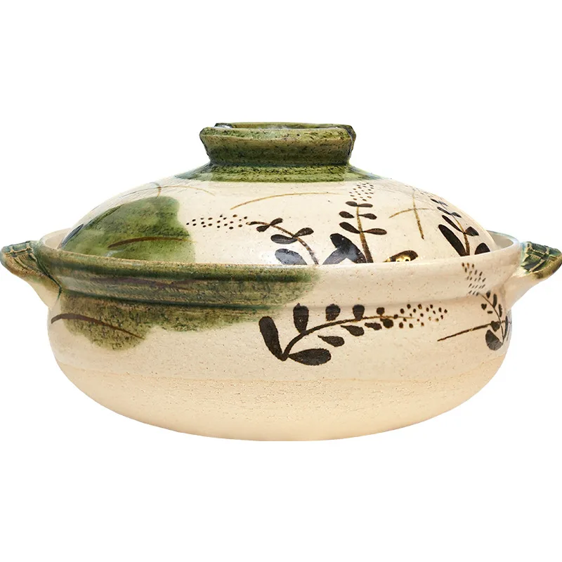 Pentola per casseruola domesti - Aloe Vera Pot recensione e prezzo