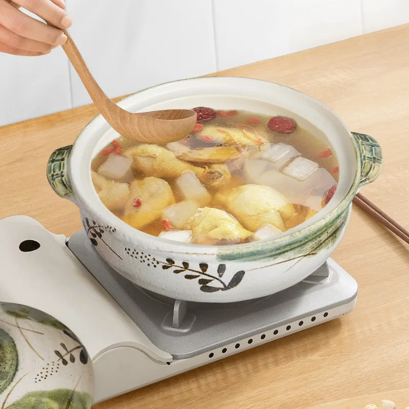 Pentola per casseruola domesti - Aloe Vera Pot recensione e prezzo