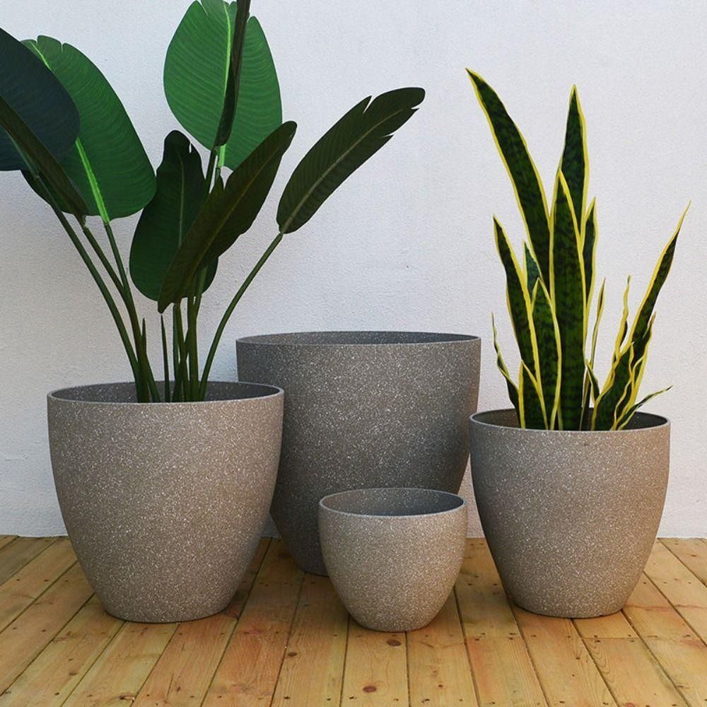 Vaso da fiori per bonsai in pi - Aloe Vera Pot recensione e prezzo