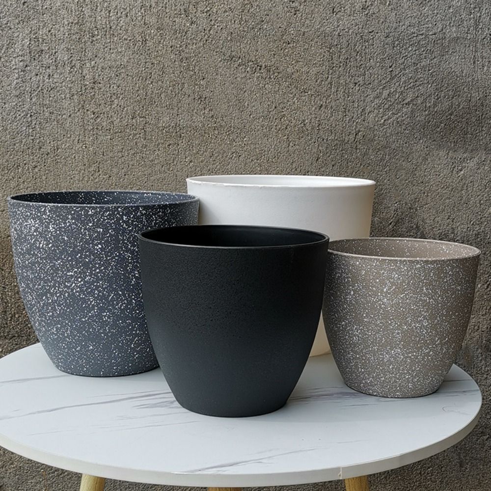Vaso da fiori per bonsai in pi - Aloe Vera Pot recensione e prezzo