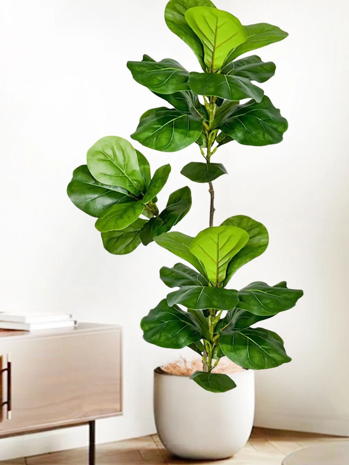 Albero Artificiale di Ficus Ly - Ficus Lyrata Tree recensione e prezzo