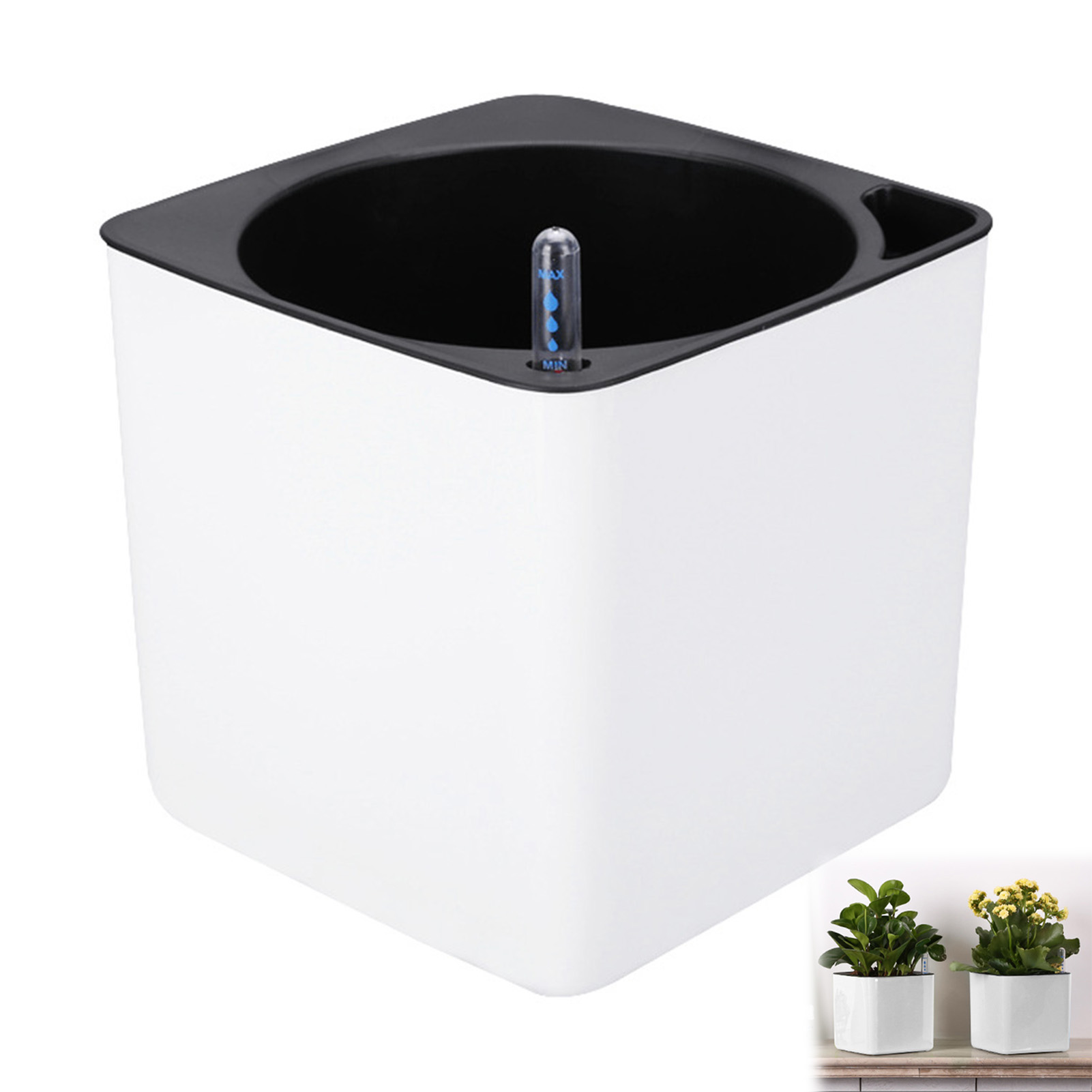Piante da fiori con irrigazion - Aloe Vera Pot recensione e prezzo