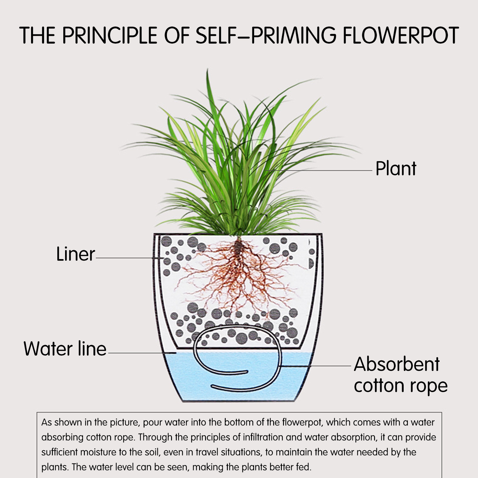 Piante da fiori con irrigazion - Aloe Vera Pot recensione e prezzo