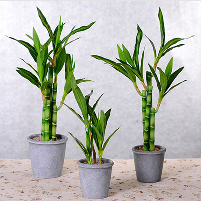 Nuovo 40 cm rFtificial Lucky B - Echeveria Succulent recensione e prezzo