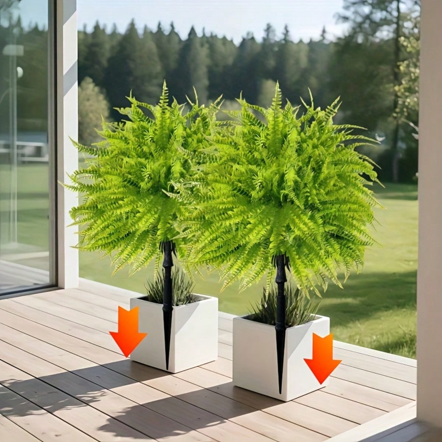 2 Pezzi - Inserti da Terra a F - Dracaena Marginata recensione e prezzo
