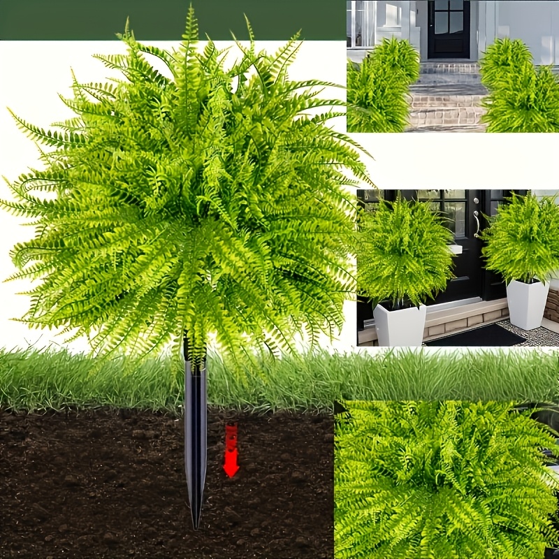 2 Pezzi - Inserti da Terra a F - Dracaena Marginata recensione e prezzo