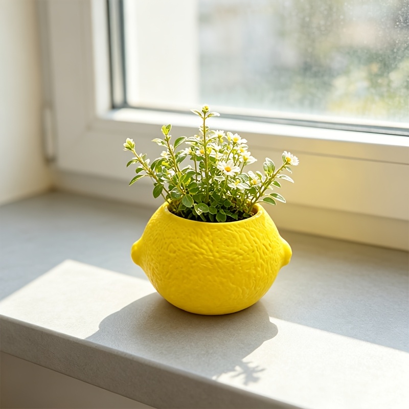 Vaso decorativo a forma di lim - Echeveria Succulent recensione e prezzo