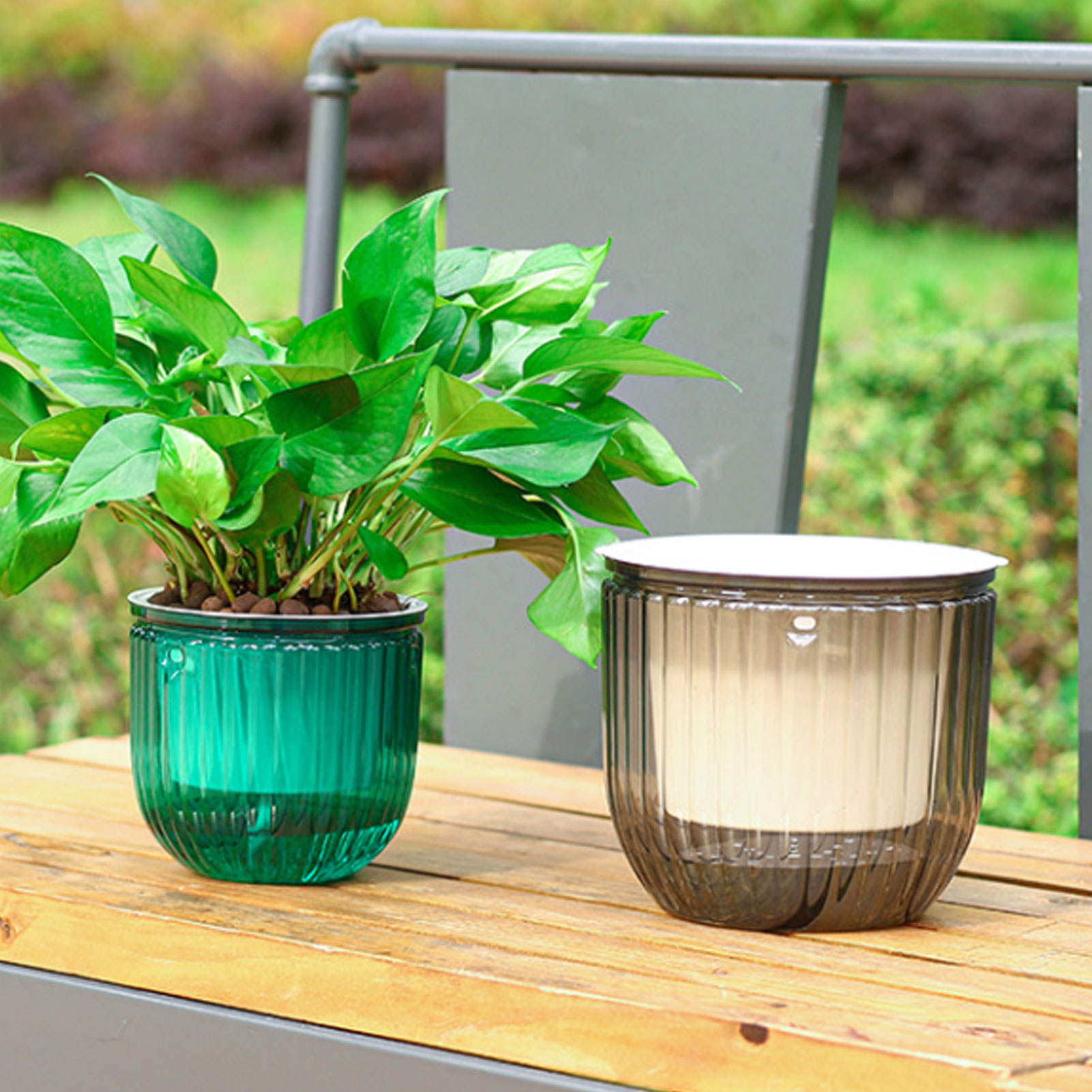 Vasi per Piante con Irrigazion - Spider Plant Hanging recensione e prezzo