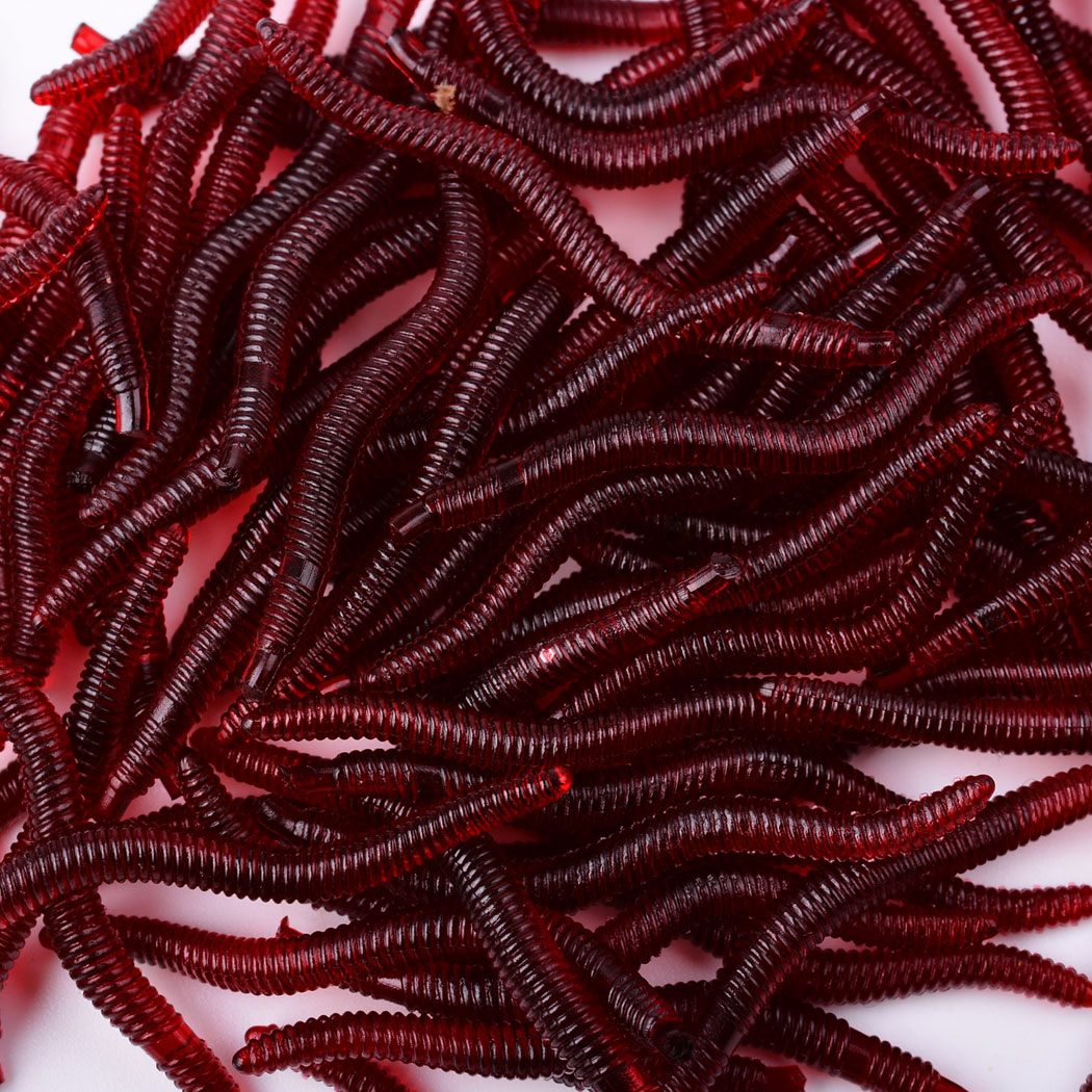 50 pz realistico verme rosso r - Aglaonema Red recensione e prezzo