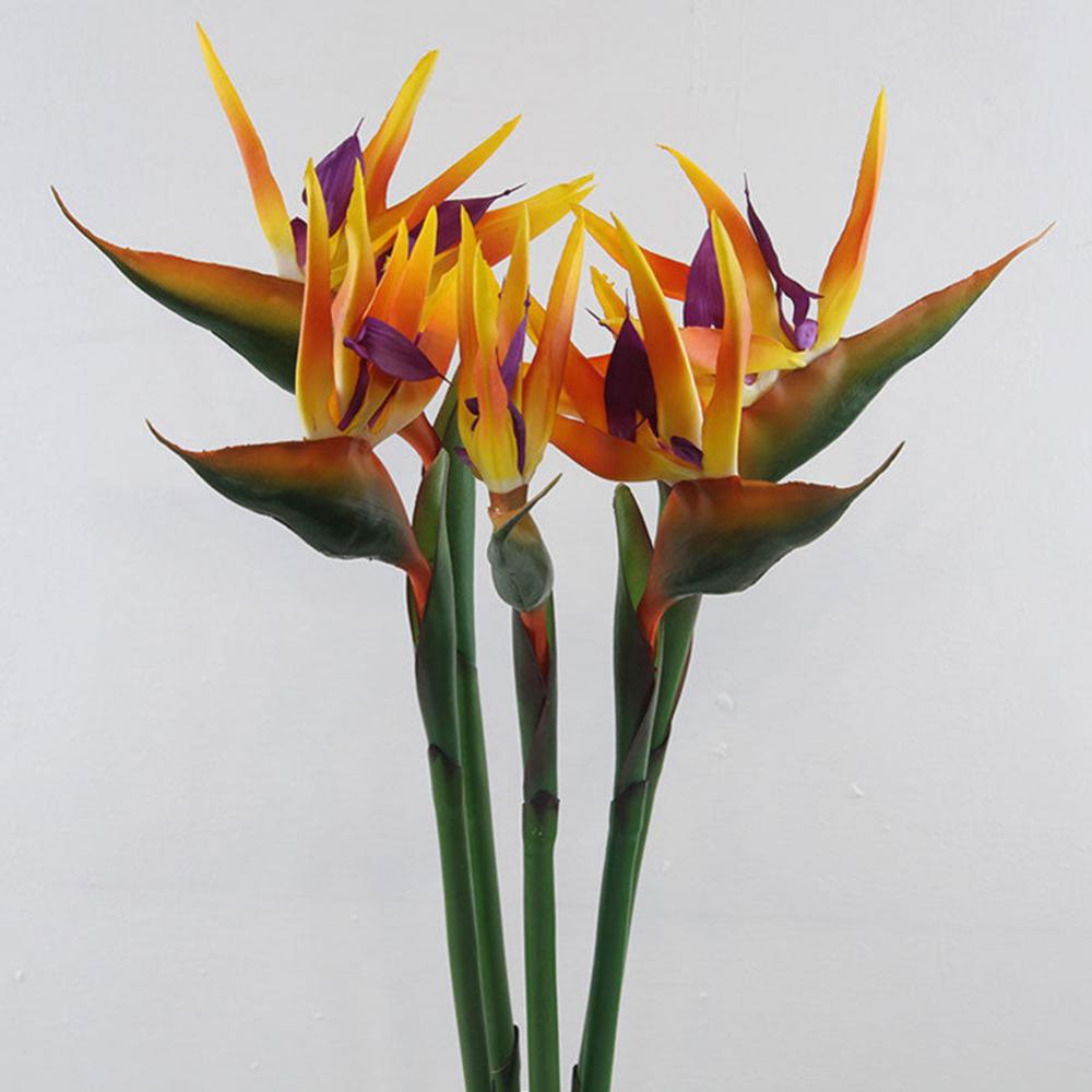 1 pz 80 cm Fiore Uccello Del P - Bird Paradise Strelitzia recensione e prezzo