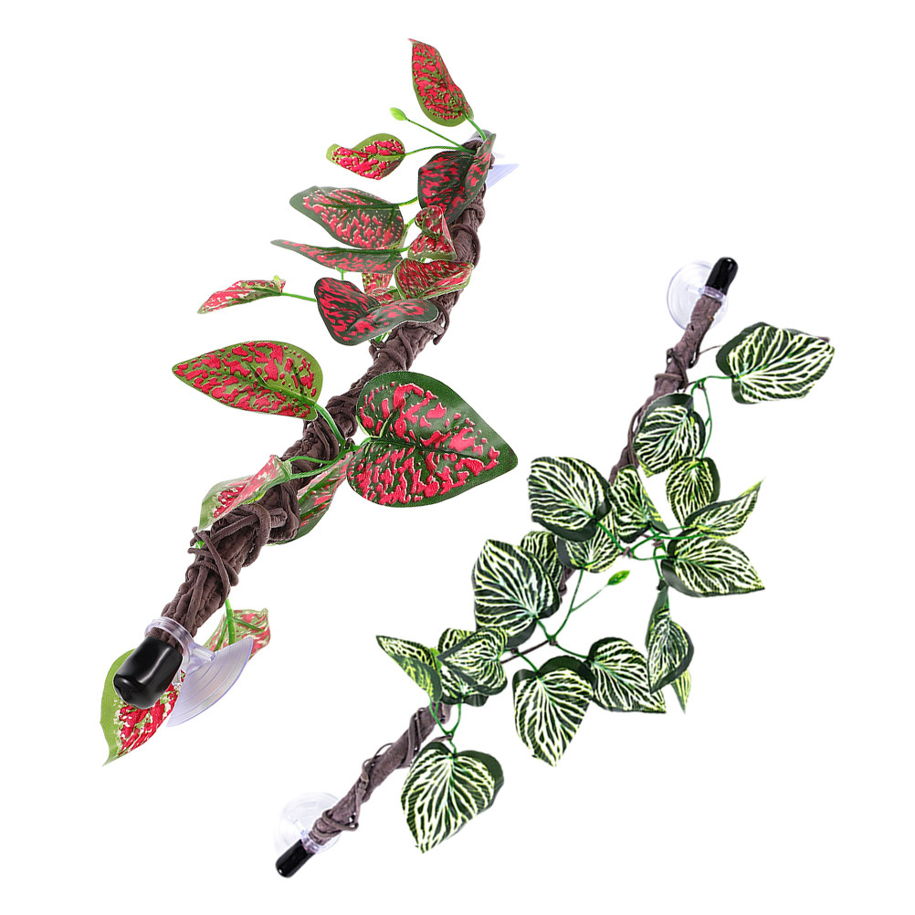 2 Pezzi di Piante Rampicanti A - Spider Plant Hanging recensione e prezzo