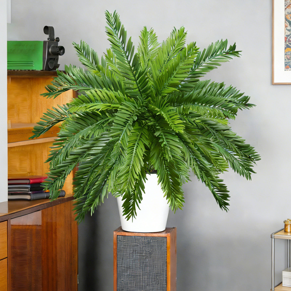 Piante di palma artificiali da - Dracaena Marginata recensione e prezzo
