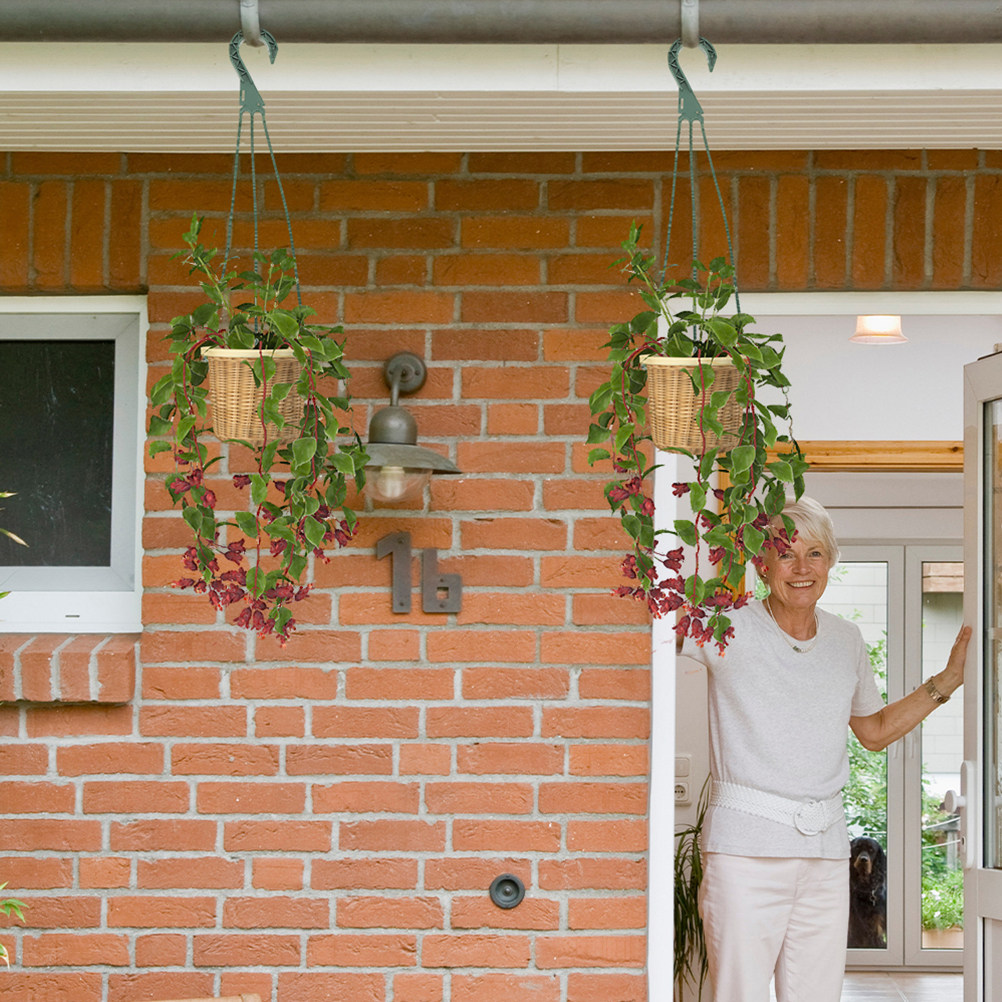 Set di 5 Ganci per Piante Sosp - Spider Plant Hanging recensione e prezzo
