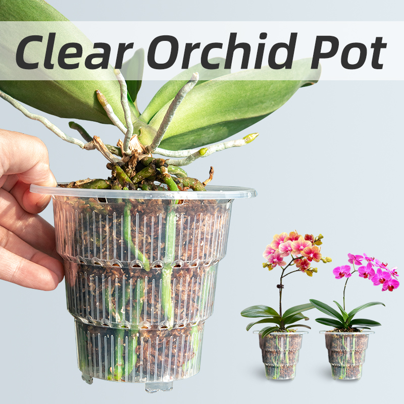Vasi per orchidee in plastica  - Aloe Vera Pot recensione e prezzo