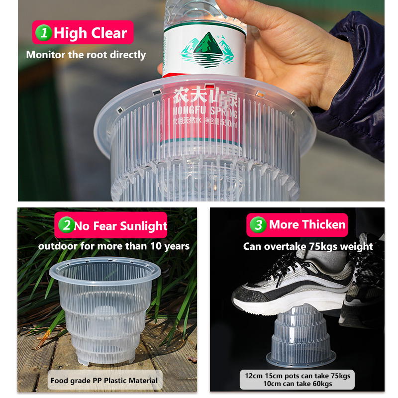 Vasi per orchidee in plastica  - Aloe Vera Pot recensione e prezzo