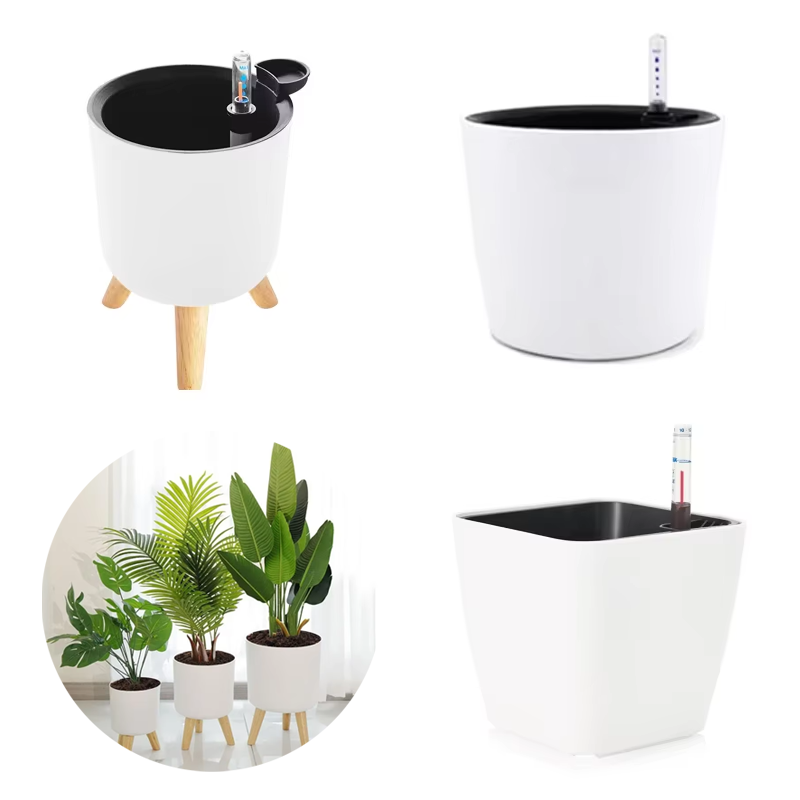 Vaso per Piante in Plastica da - Aloe Vera Pot recensione e prezzo
