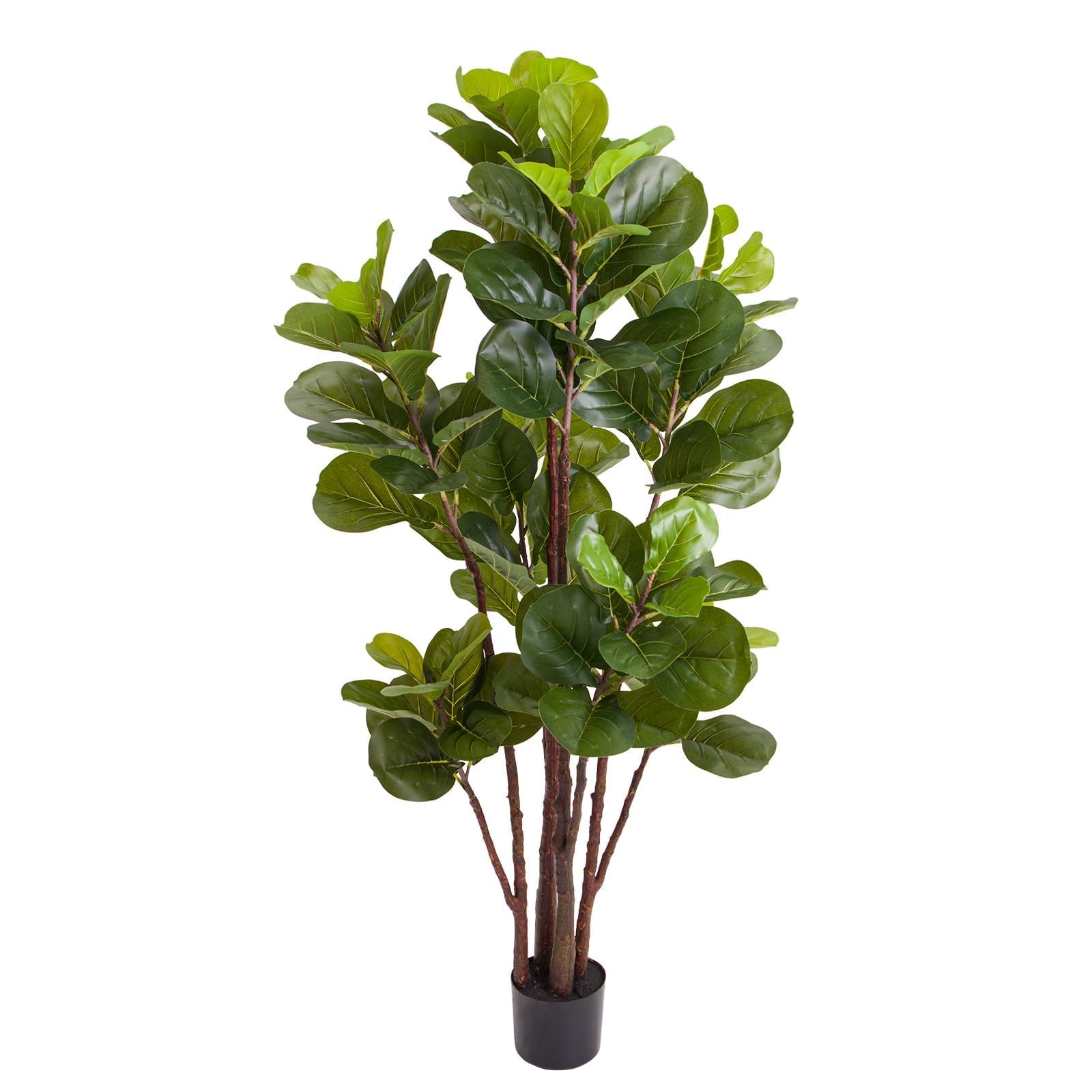 Ficus Lyrata Artificiale, Albe - Ficus Lyrata Tree recensione e prezzo