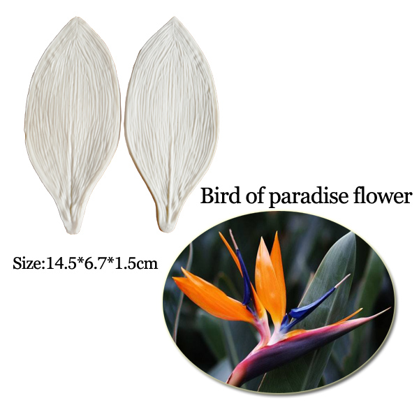 Grande Gumpaste Strelitzia Bir - Bird Paradise Strelitzia recensione e prezzo