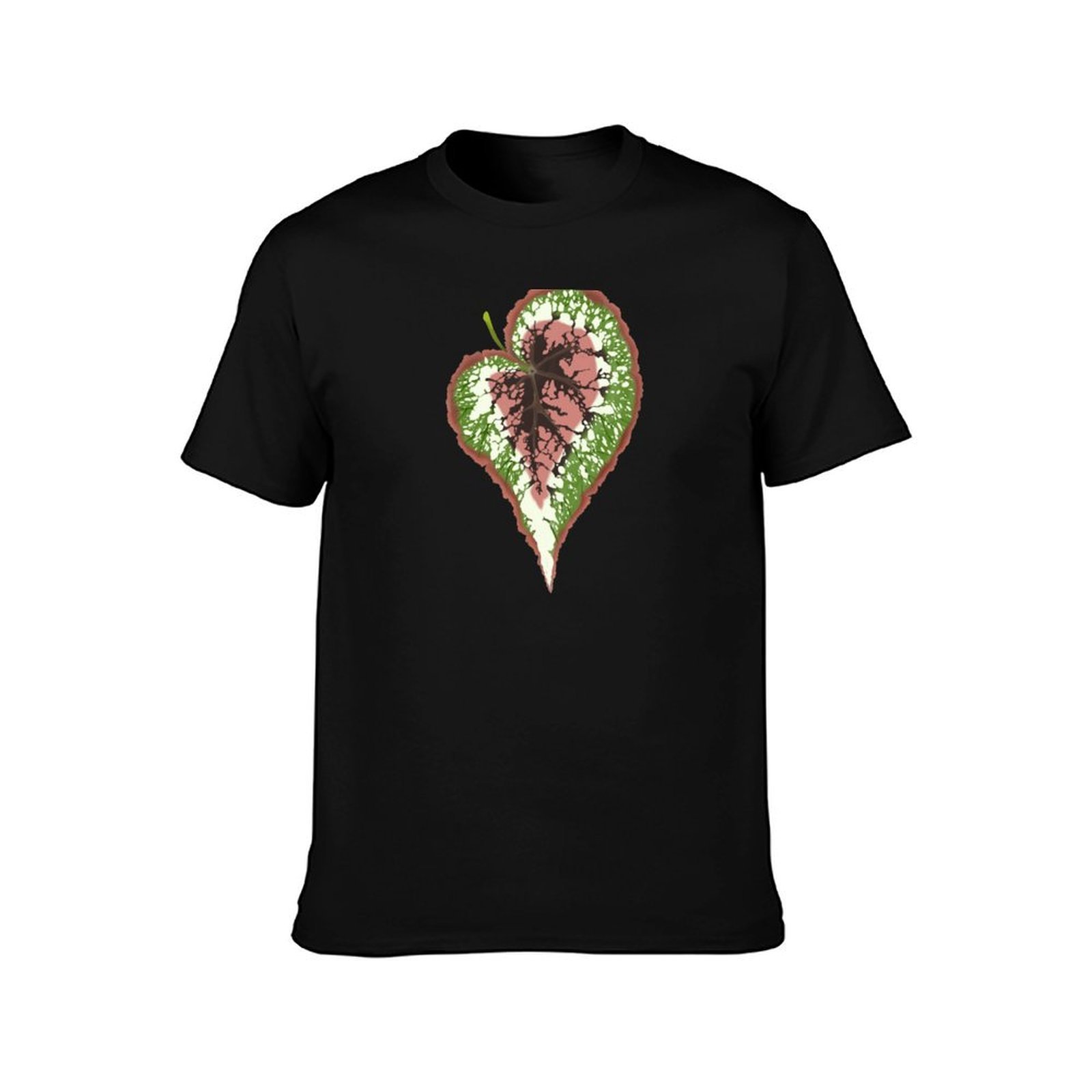 T-shirt Begonia Rex, camicia a - Begonia Rex recensione e prezzo