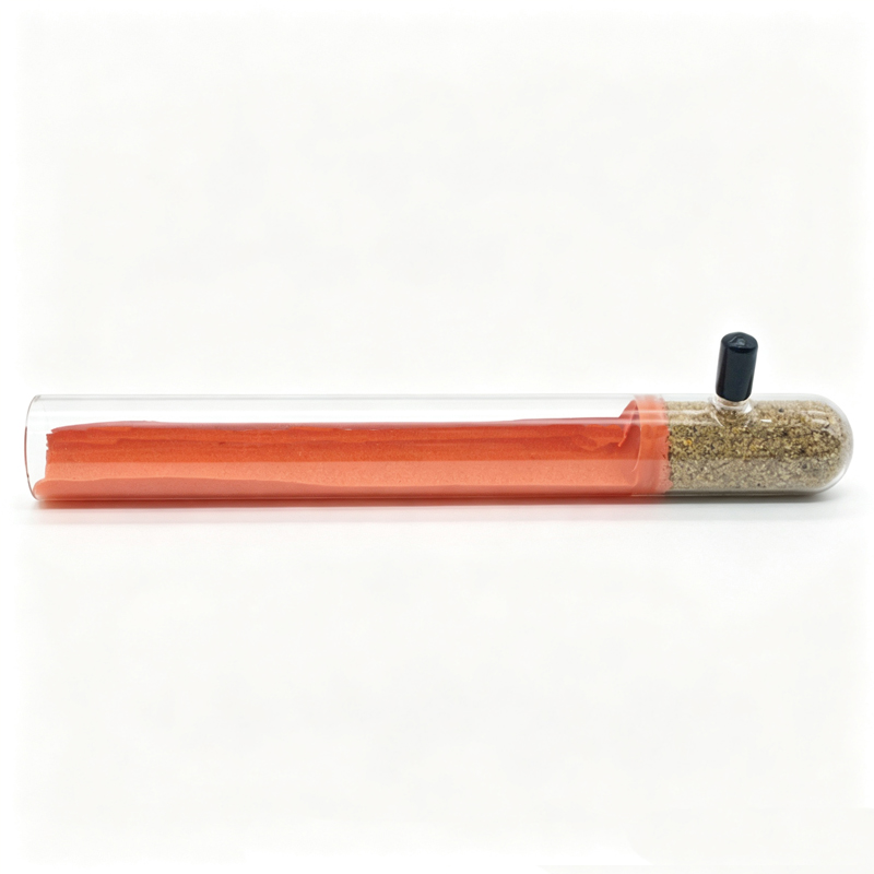 Formicaio Ecologico Fai-da-te  - Begonia Rex recensione e prezzo