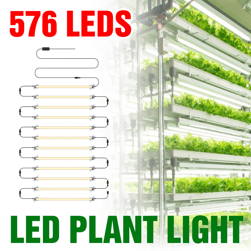LED Coltiva La Luce di Strisci - Echeveria Succulent recensione e prezzo