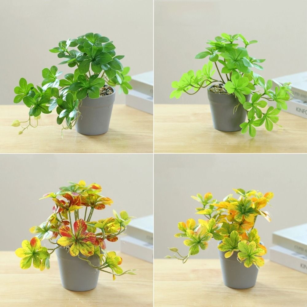 Bonsai Artificiale, Pianta Art - Spider Plant Hanging recensione e prezzo