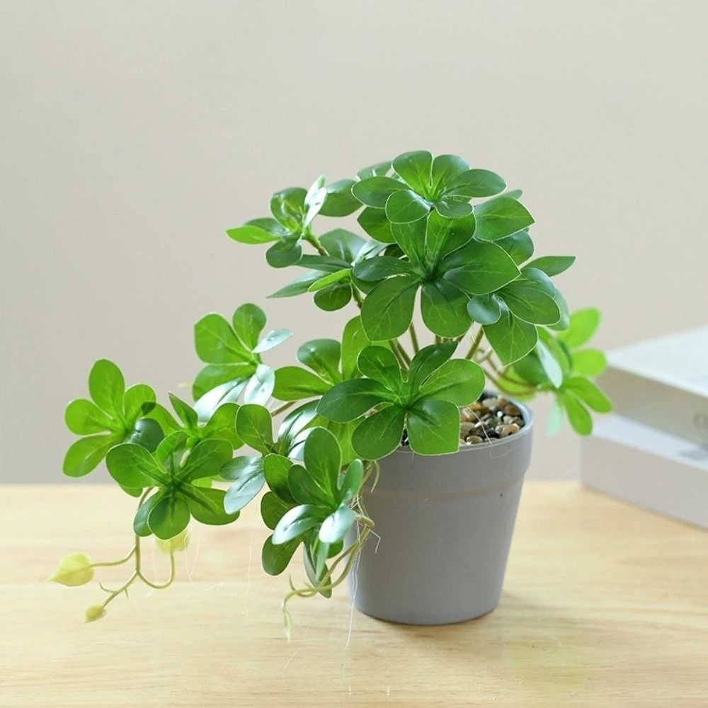 Bonsai Artificiale, Pianta Art - Spider Plant Hanging recensione e prezzo