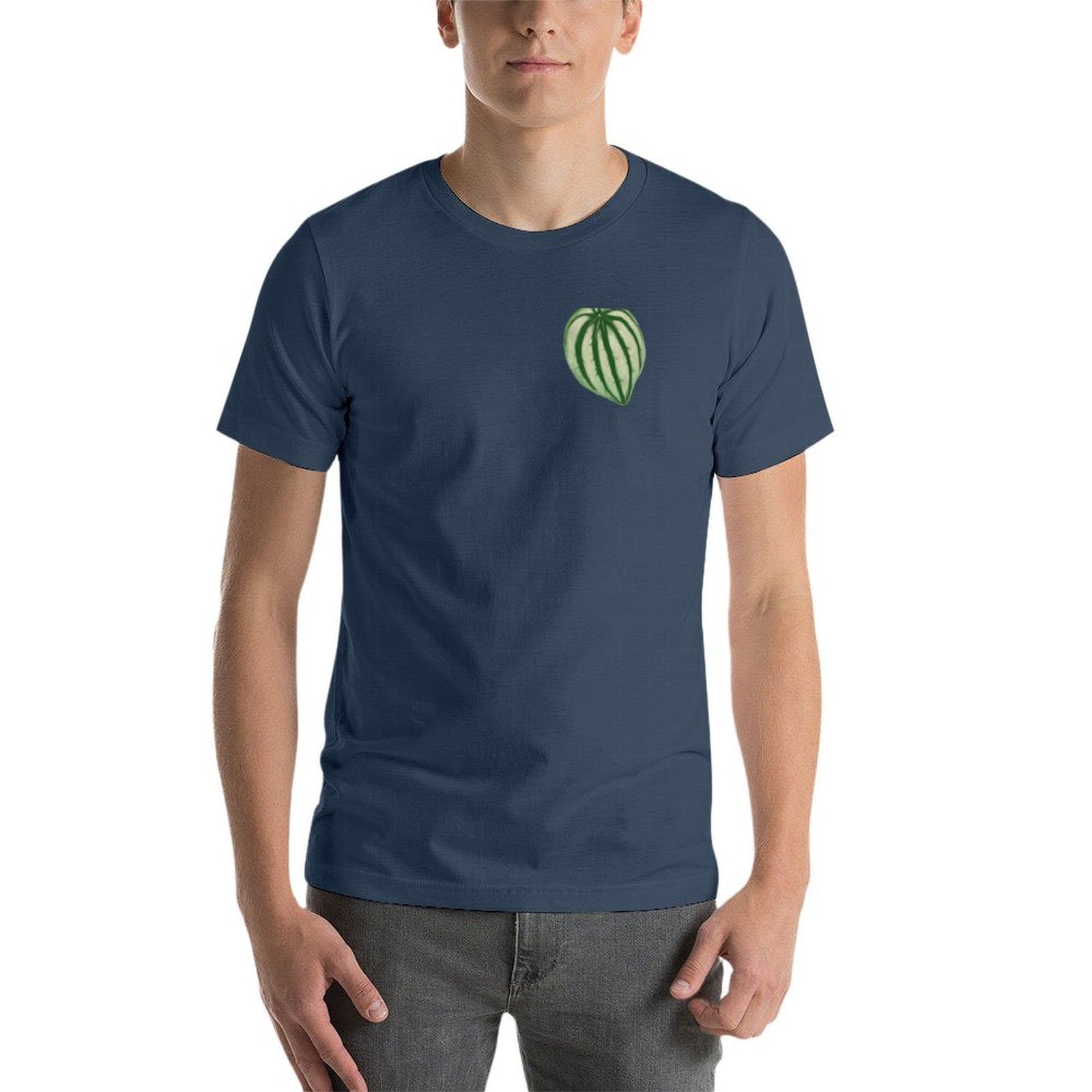 T-shirt Peperomia Watermelon c - Peperomia Watermelon recensione e prezzo
