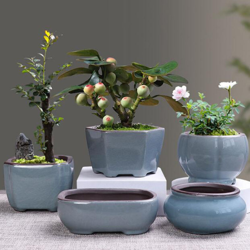 Vaso da fiori in ceramica retr - Echeveria Succulent recensione e prezzo