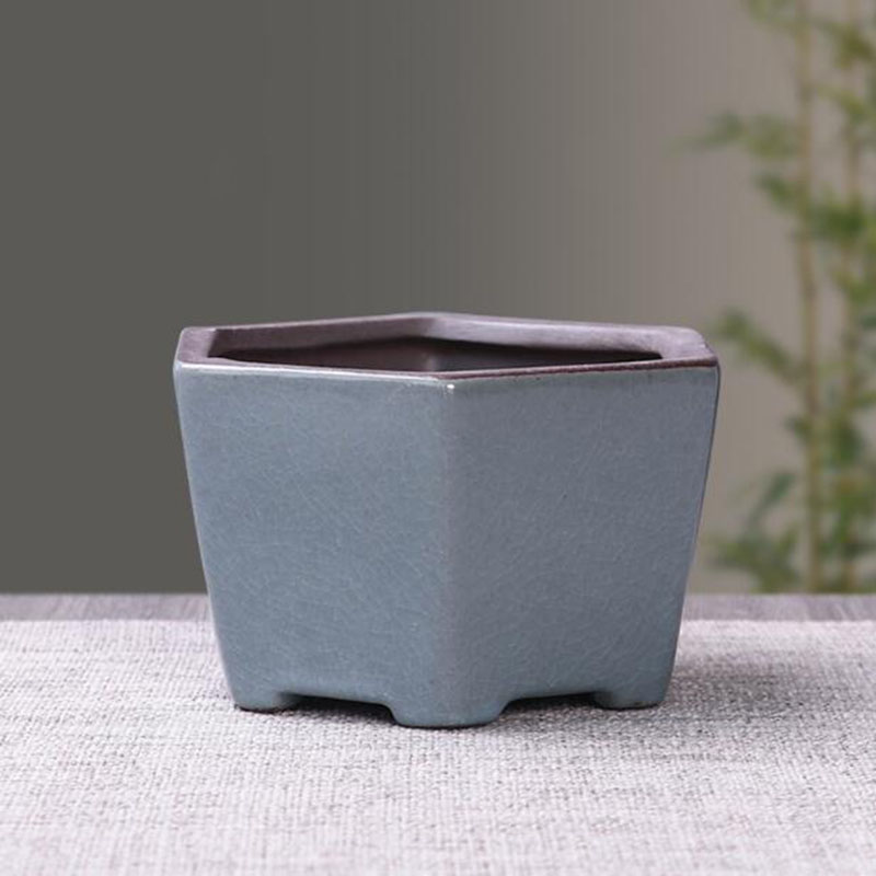 Vaso da fiori in ceramica retr - Echeveria Succulent recensione e prezzo