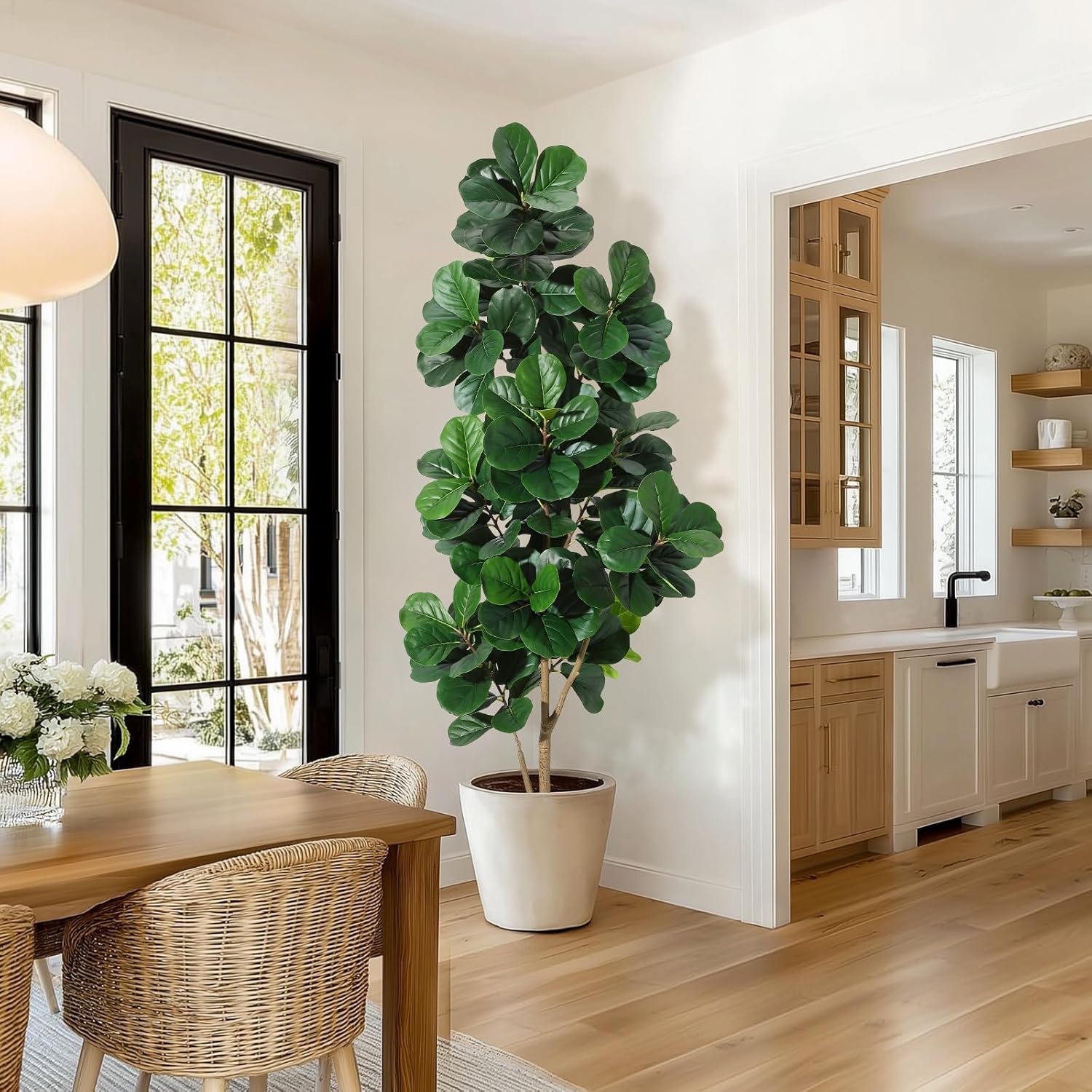 Albero di fico con foglie di v - Ficus Lyrata Tree recensione e prezzo