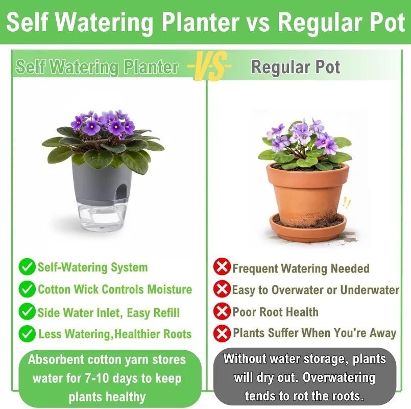 Vaso per Fiori Autoirrigante i - Aloe Vera Pot recensione e prezzo