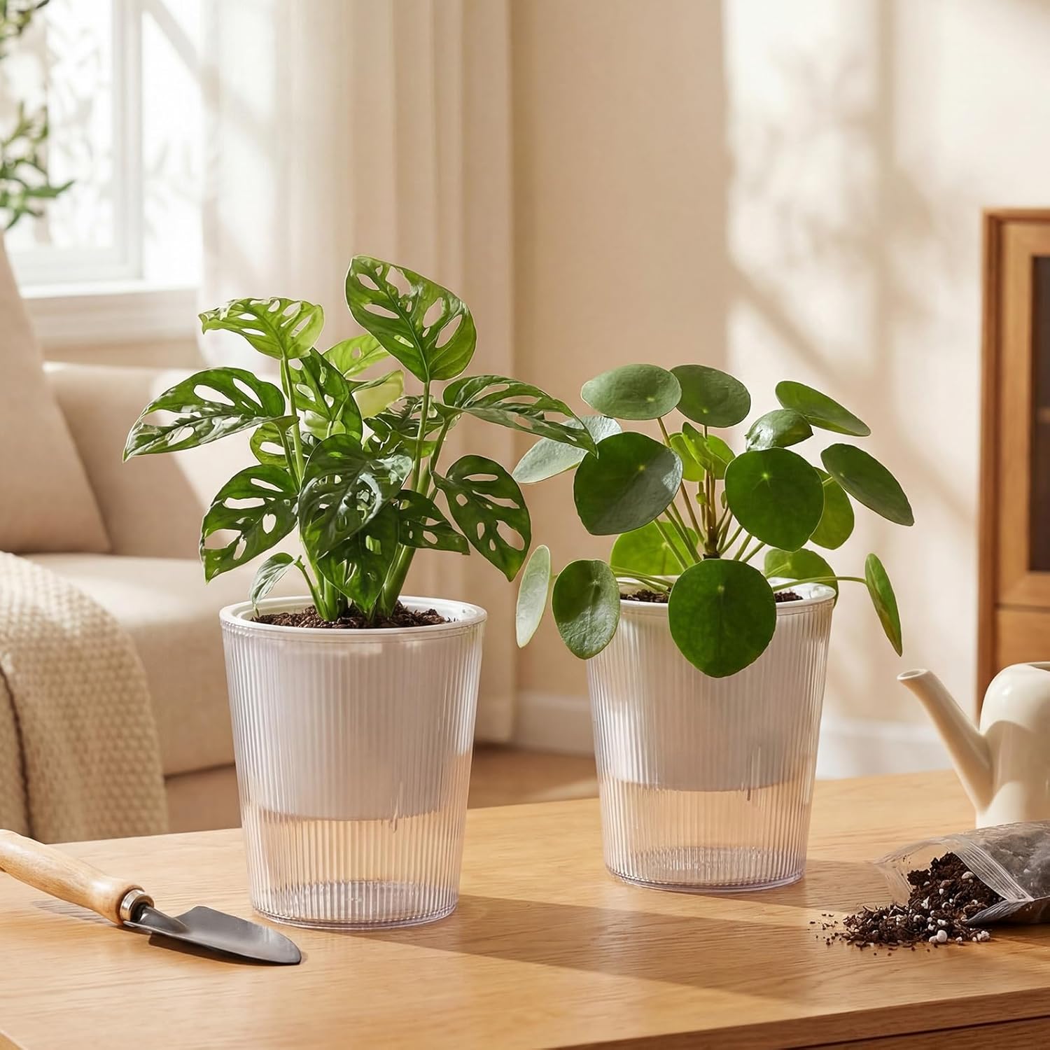 Vasi Autoirriganti Trasparenti - Aloe Vera Pot recensione e prezzo