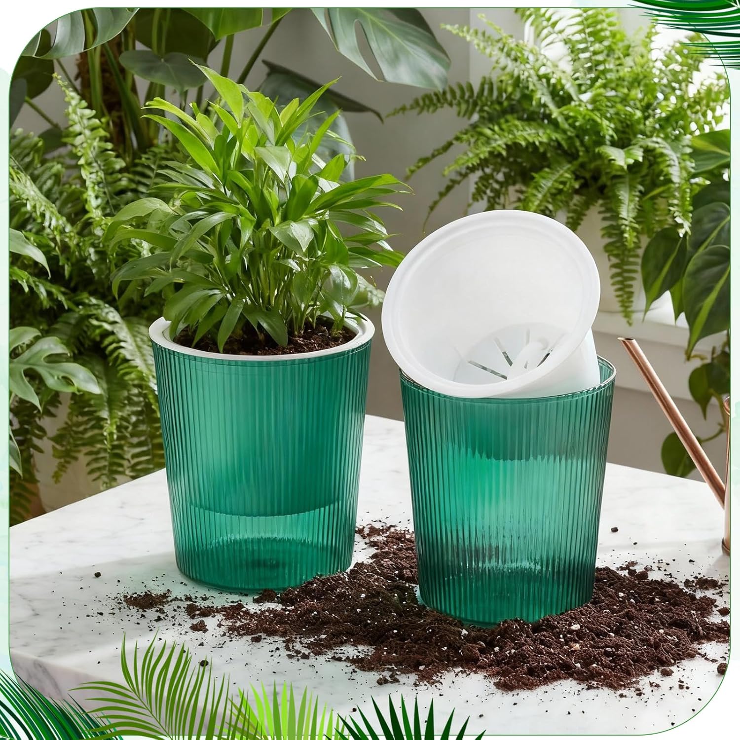 Vasi Autoirriganti Trasparenti - Aloe Vera Pot recensione e prezzo