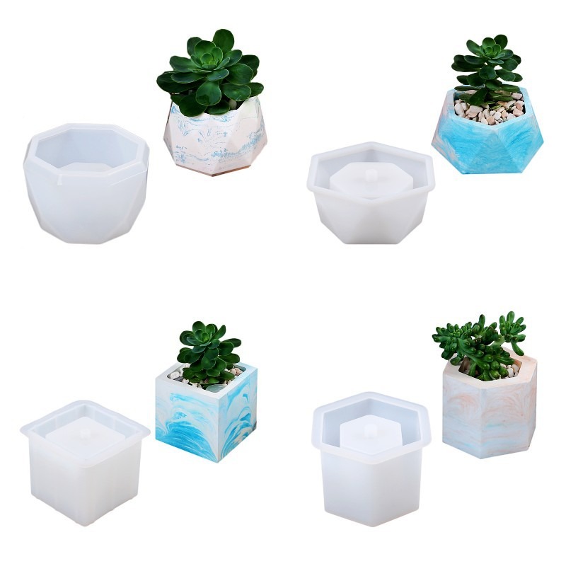 Vaso di fiori succulente Stamp - Echeveria Succulent recensione e prezzo