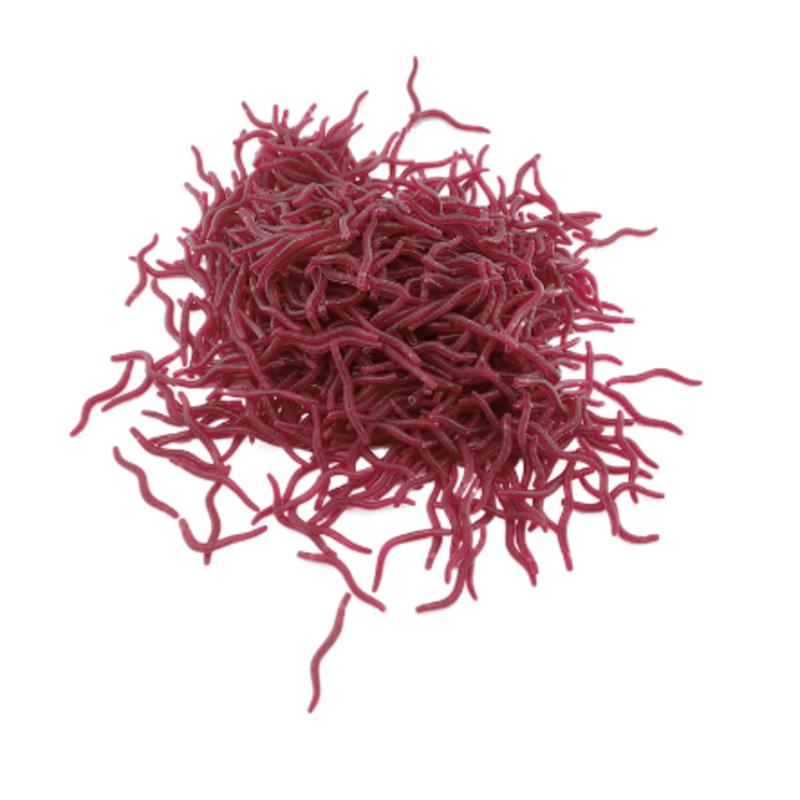 100PCS Richiamo Morbido Bass O - Aglaonema Red recensione e prezzo